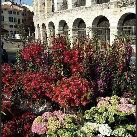 Lia * Verona